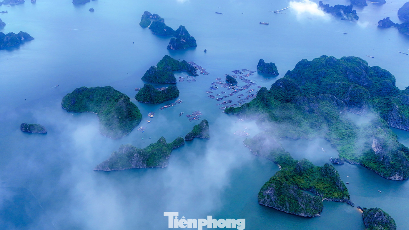 Diện mạo 3 khu bảo tồn biển đặc biệt quan trọng của Quảng Ninh- Ảnh 6.