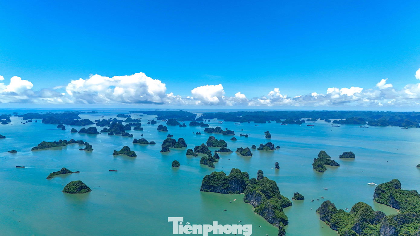 Diện mạo 3 khu bảo tồn biển đặc biệt quan trọng của Quảng Ninh- Ảnh 9.