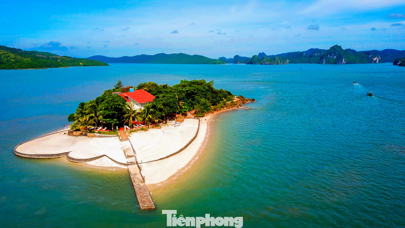 Diện mạo 3 khu bảo tồn biển đặc biệt quan trọng của Quảng Ninh- Ảnh 8.