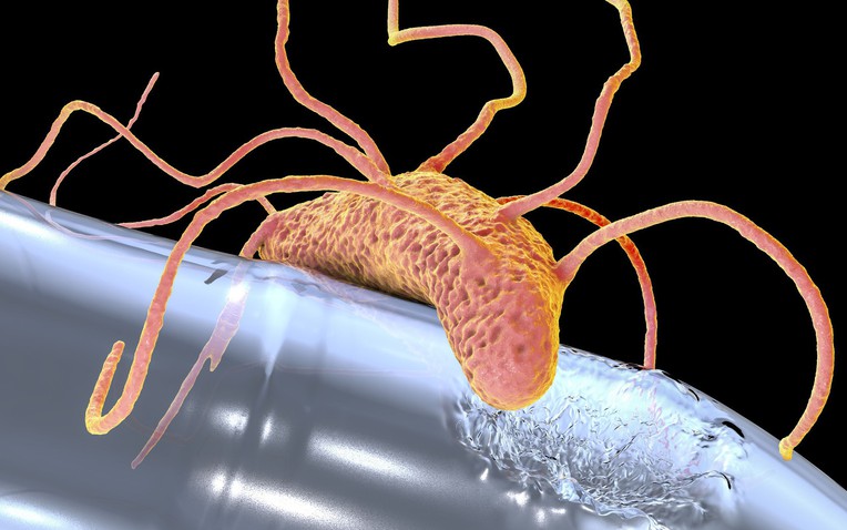 V&igrave; sao sinh vật 'ăn nhựa' vẫn chưa thể cứu Tr&aacute;i Đất khỏi khủng hoảng r&aacute;c thải?- Ảnh 1.