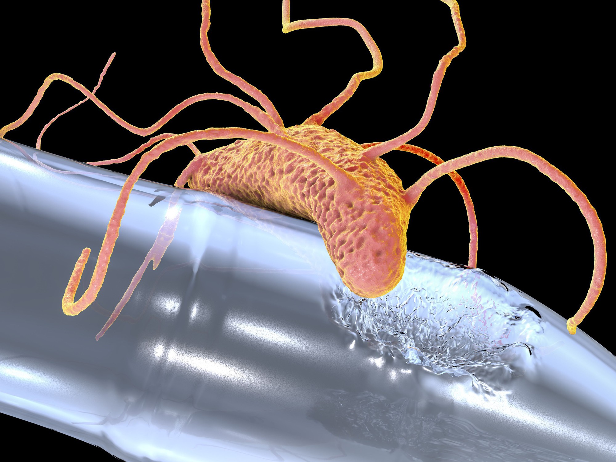 V&igrave; sao sinh vật 'ăn nhựa' vẫn chưa thể cứu Tr&aacute;i Đất khỏi khủng hoảng r&aacute;c thải?- Ảnh 6.