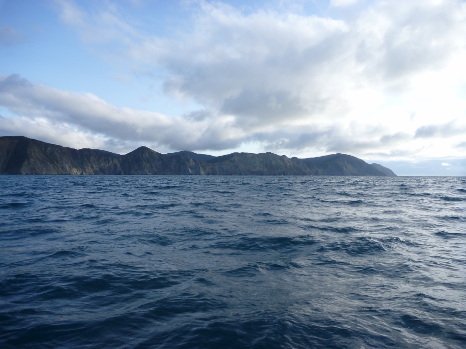 Đại dương ở New Zealand ấm l&ecirc;n nhanh hơn 34% so với to&agrave;n cầu- Ảnh 1.