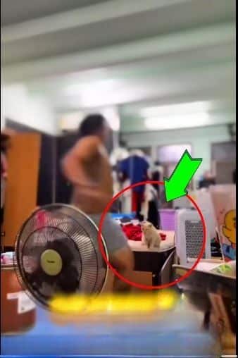 Người đàn ông bất ngờ bị công ty sa thải, xem đoạn clip từ camera nhiều netizen hoàn toàn đồng tình- Ảnh 1. Người đàn ông bất ngờ bị công ty sa thải, xem đoạn clip từ camera nhiều netizen hoàn toàn đồng tình- Ảnh 1.