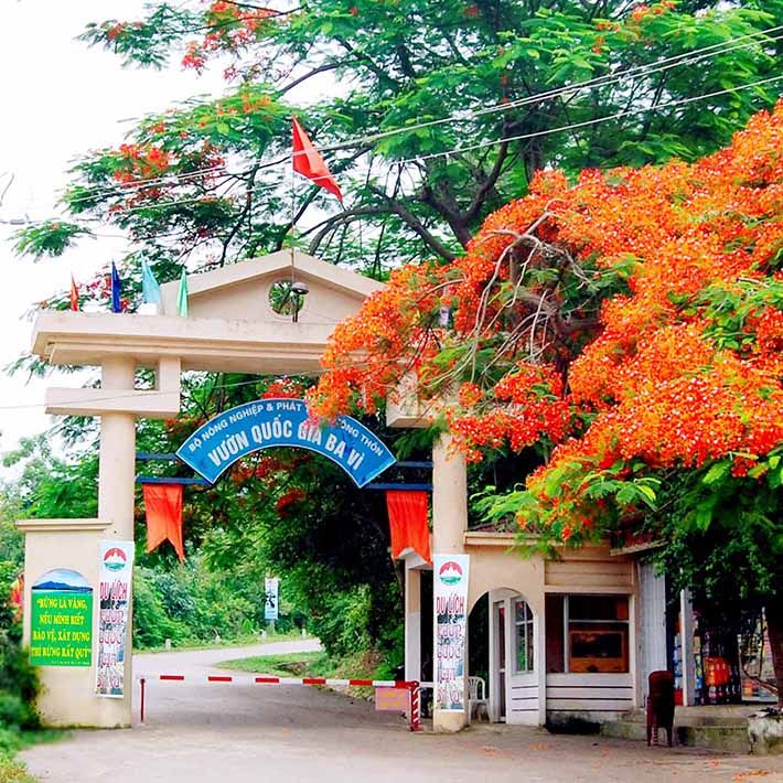 Khách Tây trầm trồ trước ngôi làng ở Hà Nội, nhận xét: "Tôi đi 9200km chỉ để chụp những bức ảnh thế này!"- Ảnh 9. Khách Tây trầm trồ trước ngôi làng ở Hà Nội, nhận xét: "Tôi đi 9200km chỉ để chụp những bức ảnh thế này!"- Ảnh 9.