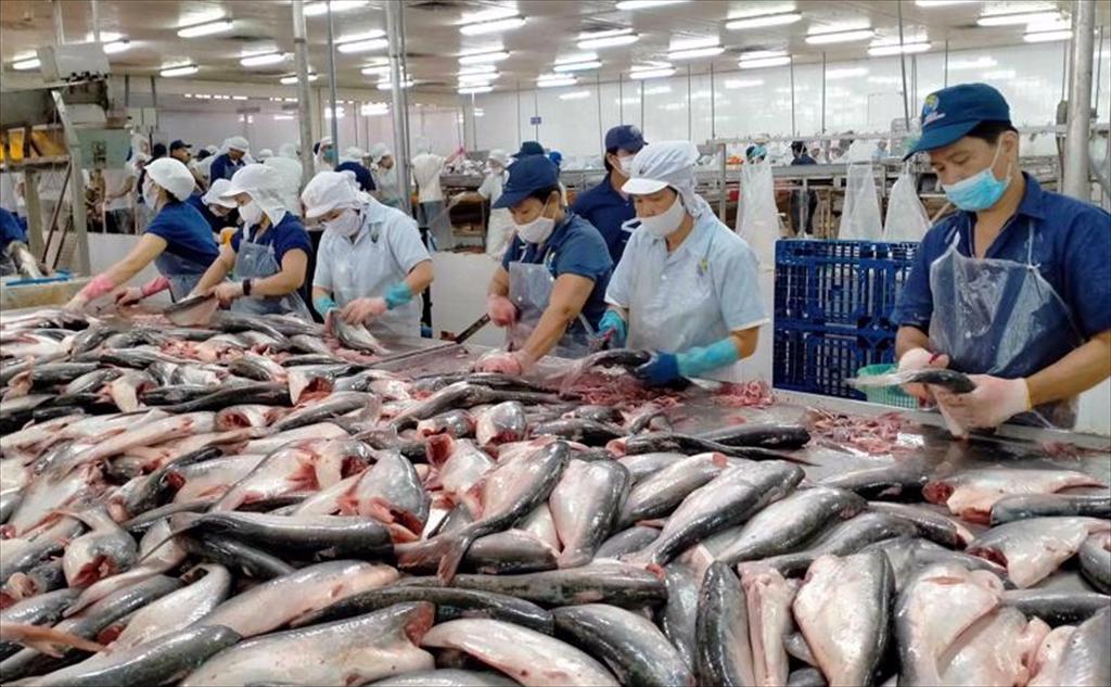 Ngành hàng tỷ đô của Việt Nam khai phá Ngành hàng tỷ đô của Việt Nam khai phá