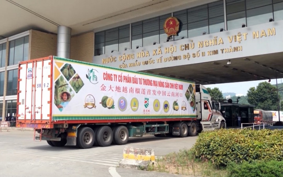 Xuất khẩu Việt Nam lập kỷ lục nhờ một loại quả, Thái Lan tính 'bắt tay': Giấc mơ 10 tỷ USD không còn xa