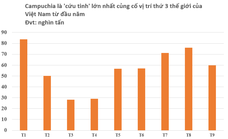 Hơn nửa triệu tấn ‘cứu tinh’ từ Campuchia vừa đổ bộ Việt Nam: Được mệnh danh ‘vàng trắng’ trên cây, nước ta đứng thứ 3 thế giới- Ảnh 3. Hơn nửa triệu tấn ‘cứu tinh’ từ Campuchia vừa đổ bộ Việt Nam: Được mệnh danh ‘vàng trắng’ trên cây, nước ta đứng thứ 3 thế giới- Ảnh 3.