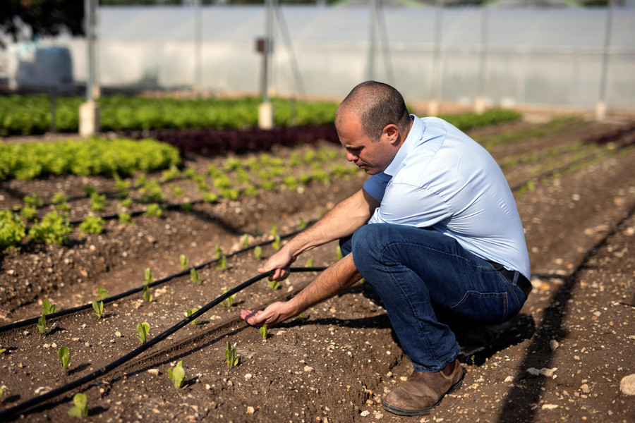 Hi vọng từ trồng trọt trên sa mạc- Ảnh 5.