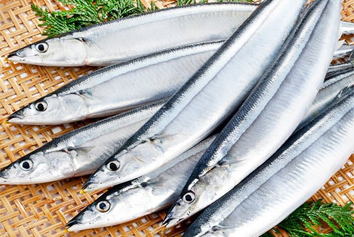 photo-1760431687404 photo-1760431687404