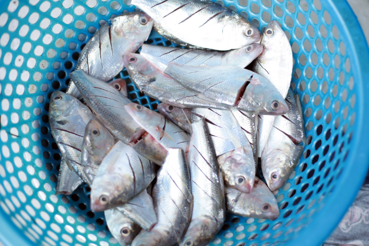 photo-1760431704640 photo-1760431704640