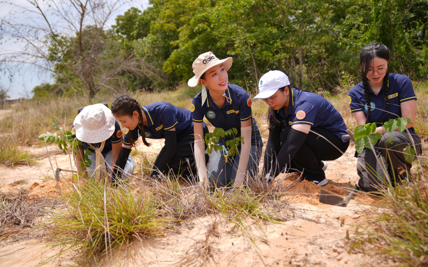 Chung sức trồng 30.000 cây gỗ lớn ứng phó biến đổi khí hậu- Ảnh 1.