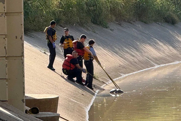 Mỹ phát hiện nhiều thi thể trôi sông ở Houston- Ảnh 2. Mỹ phát hiện nhiều thi thể trôi sông ở Houston- Ảnh 2.