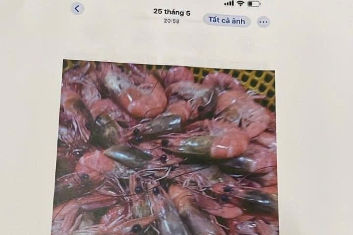 Vụ dân tố 'thực phẩm bẩn' tuồn vào trường học: Tiếp tục đình chỉ công tác hiệu trưởng- Ảnh 2.