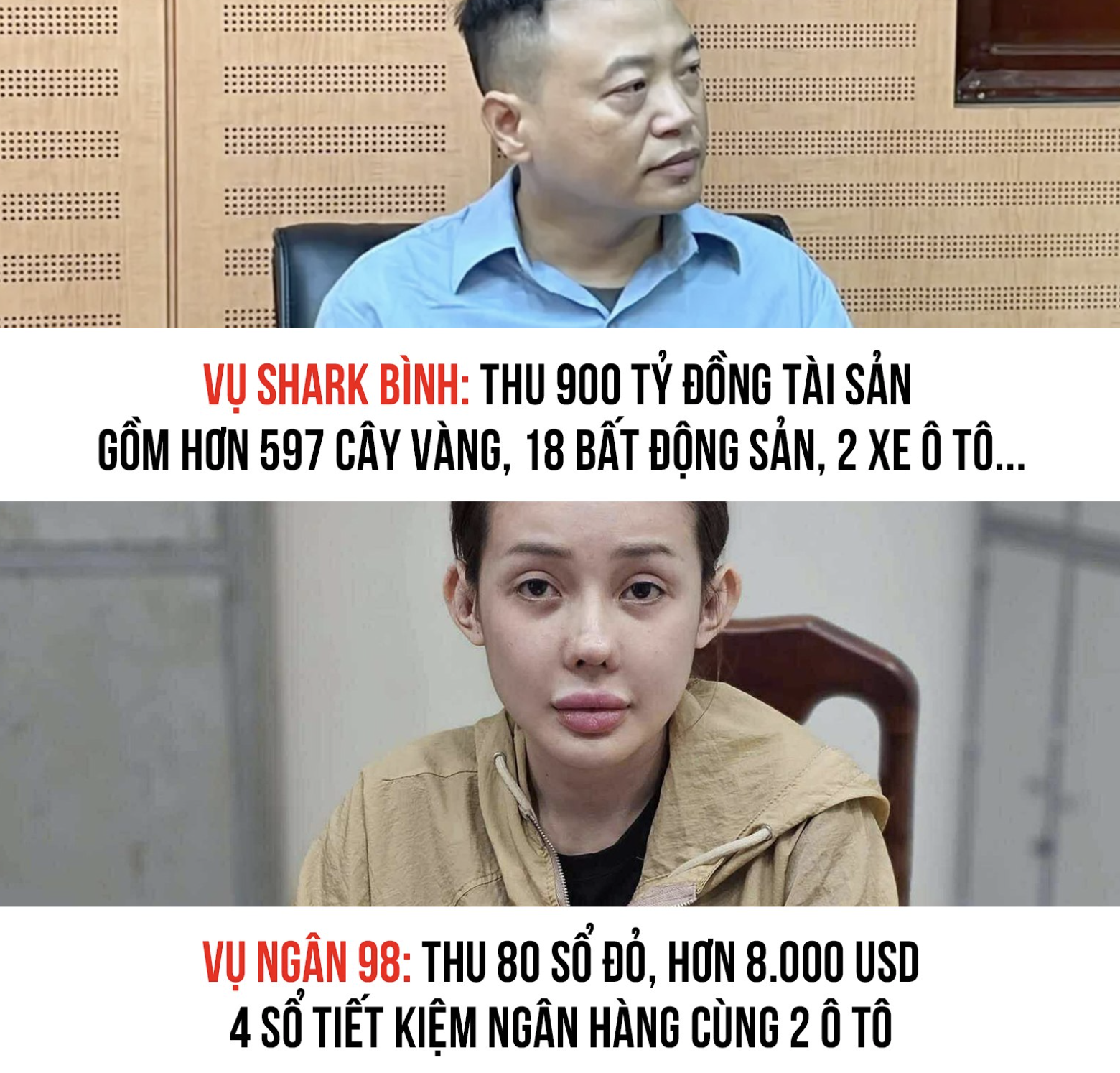 1 tuần, 2 vụ án, 98 sổ đỏ- Ảnh 1. 1 tuần, 2 vụ án, 98 sổ đỏ- Ảnh 1.