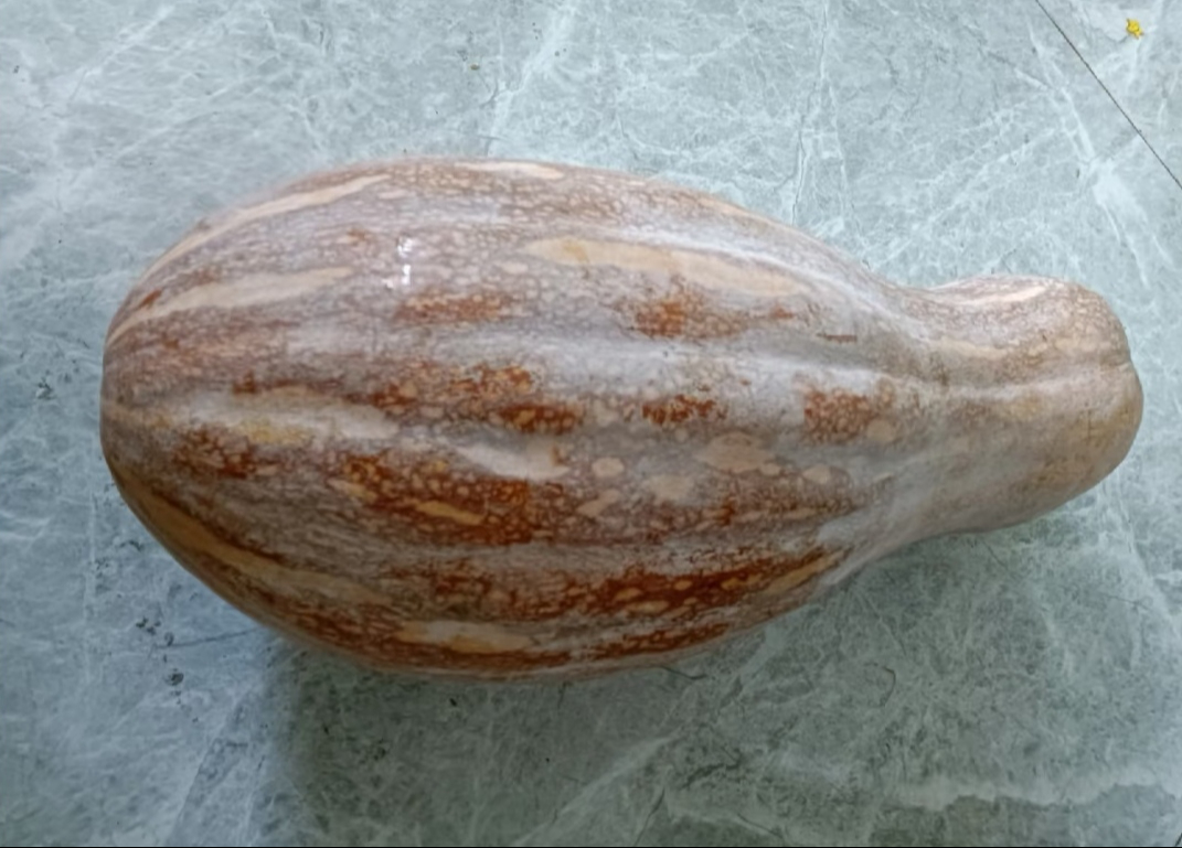 Ông lão nông dân khuyên: Ông lão nông dân khuyên: