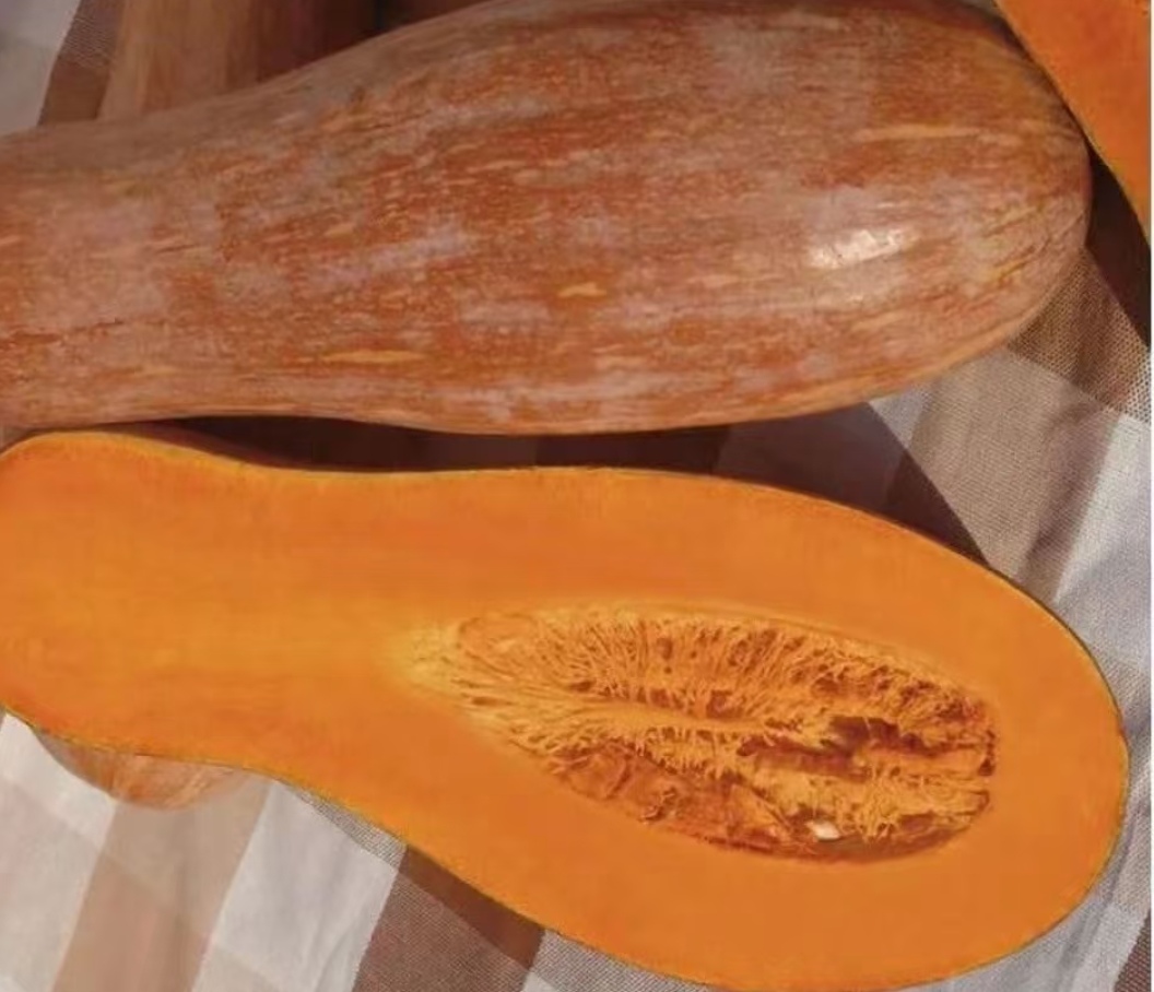 Ông lão nông dân khuyên: Ông lão nông dân khuyên: