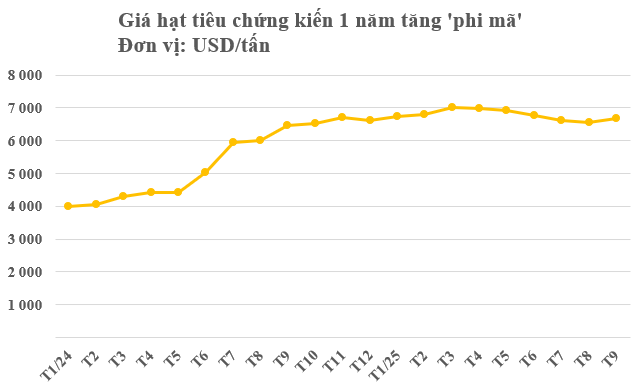 Một mặt h&agrave;ng của Việt Nam đang l&agrave;m mưa l&agrave;m gi&oacute; tại Mỹ: Chiếm thị phần bằng c&aacute;c đối thủ cộng lại, thế giới ng&agrave;y c&agrave;ng khan hiếm- Ảnh 2.
