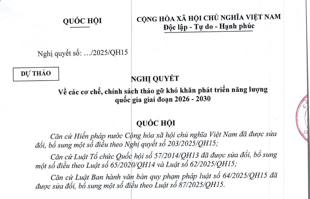 Đằng sau việc ông Phạm Nhật Vượng góp 60 triệu cổ phiếu VIC vào VinEnergo- Ảnh 3.