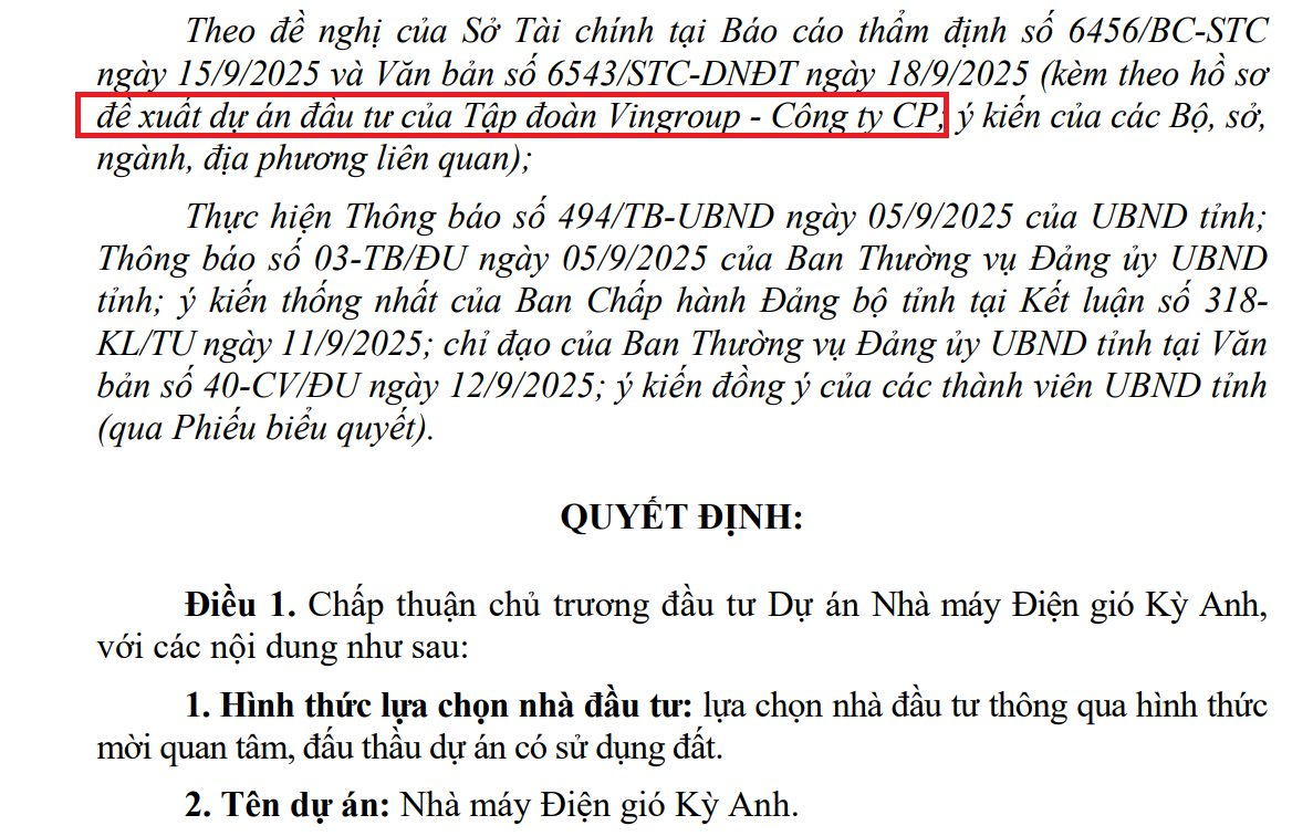 Đằng sau việc ông Phạm Nhật Vượng góp 60 triệu cổ phiếu VIC vào VinEnergo- Ảnh 5.
