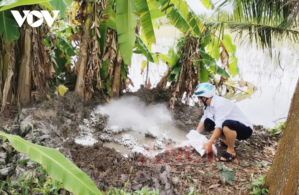 Cần Thơ: Hơn 840kg thịt lợn nhiễm dịch tả châu Phi bị tuồn ra thị trường, có con còn đóng dấu kiểm dịch- Ảnh 3. Cần Thơ: Hơn 840kg thịt lợn nhiễm dịch tả châu Phi bị tuồn ra thị trường, có con còn đóng dấu kiểm dịch- Ảnh 3.