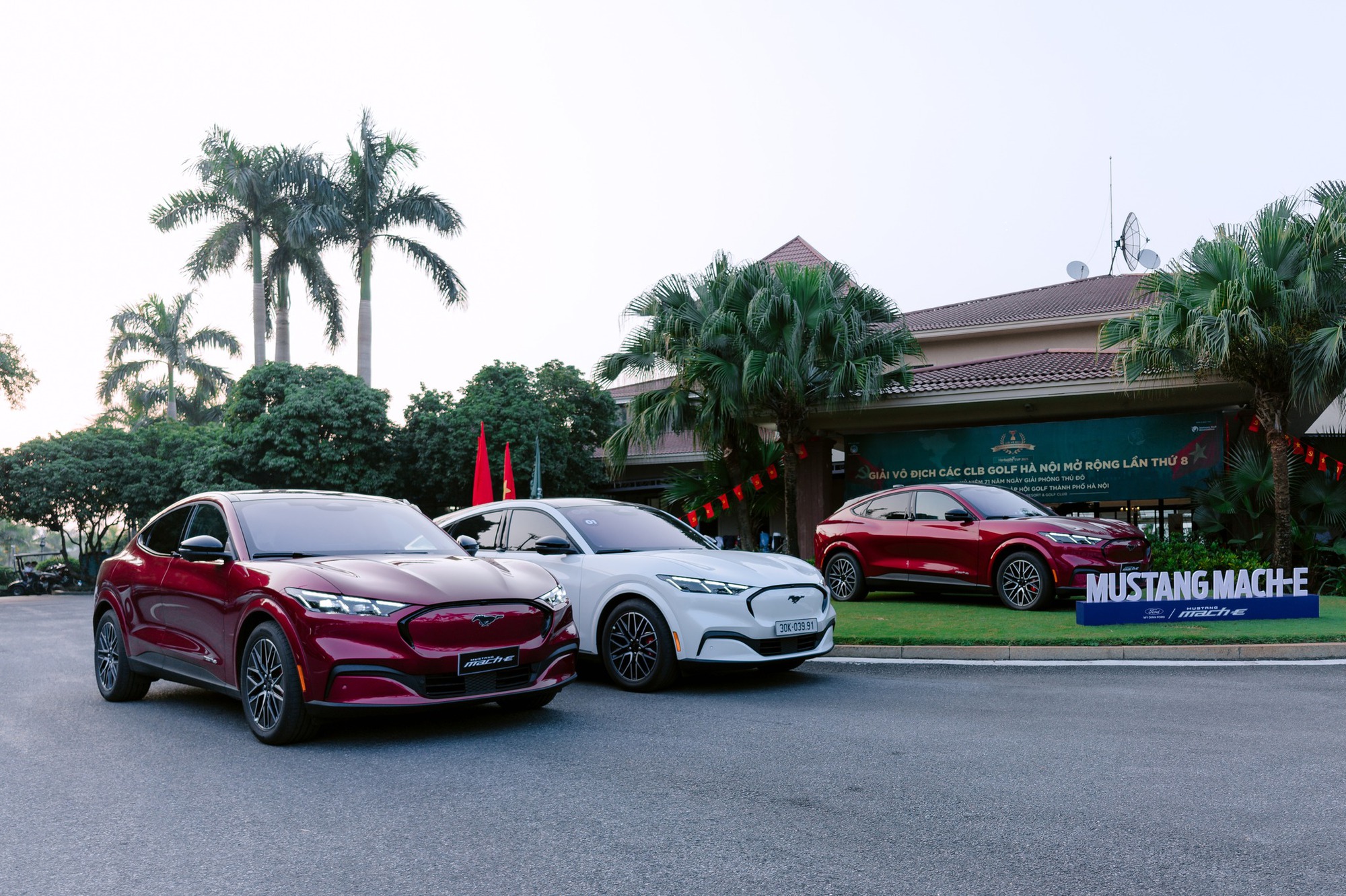 Ford Mustang Mach-E bất ngờ bán chạy hơn cả 'dân chơi' Honda Civic Type R: 'Ngựa hoang điện' đã tìm được chuồng ở Việt Nam?- Ảnh 8.