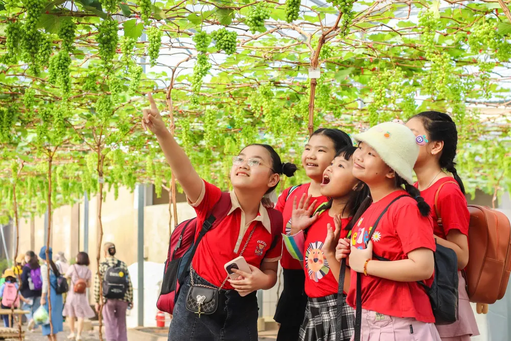 Sản xuất nông nghiệp kết hợp du lịch cộng đồng: Đa dạng trải nghiệm, tiêu dùng xanh- Ảnh 2.