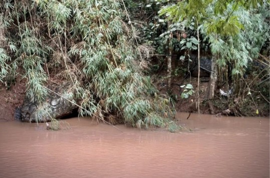 Dòng sông yên ả bỗng dậy sóng vì 'rắn khổng lồ', người dân bàn tán khiến phóng viên đến tận nơi xác minh- Ảnh 3. Dòng sông yên ả bỗng dậy sóng vì 'rắn khổng lồ', người dân bàn tán khiến phóng viên đến tận nơi xác minh- Ảnh 3.