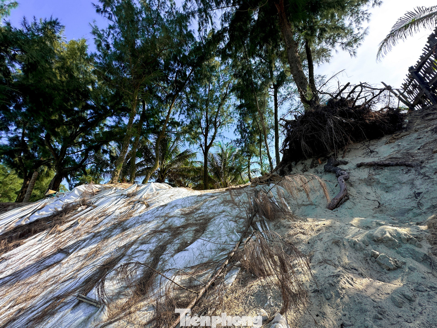 Đà Nẵng: Biển xâm thực, sóng 'ngoạm' bờ uy hiếp từng ngày- Ảnh 9.