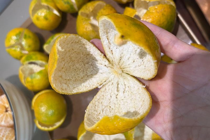 Loại vỏ trái cây thường bị bỏ đi lại được người Trung Quốc ví như thuốc quý- Ảnh 3.