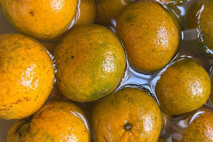 Loại vỏ trái cây thường bị bỏ đi lại được người Trung Quốc ví như thuốc quý- Ảnh 2.