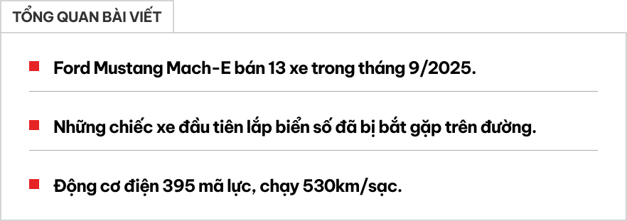 Ford Mustang Mach-E bất ngờ bán chạy hơn cả 'dân chơi' Honda Civic Type R: 'Ngựa hoang điện' đã tìm được chuồng ở Việt Nam?- Ảnh 1.