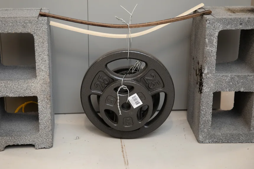 Chế tạo “siêu gỗ” cứng gấp 10 lần thép- Ảnh 7.