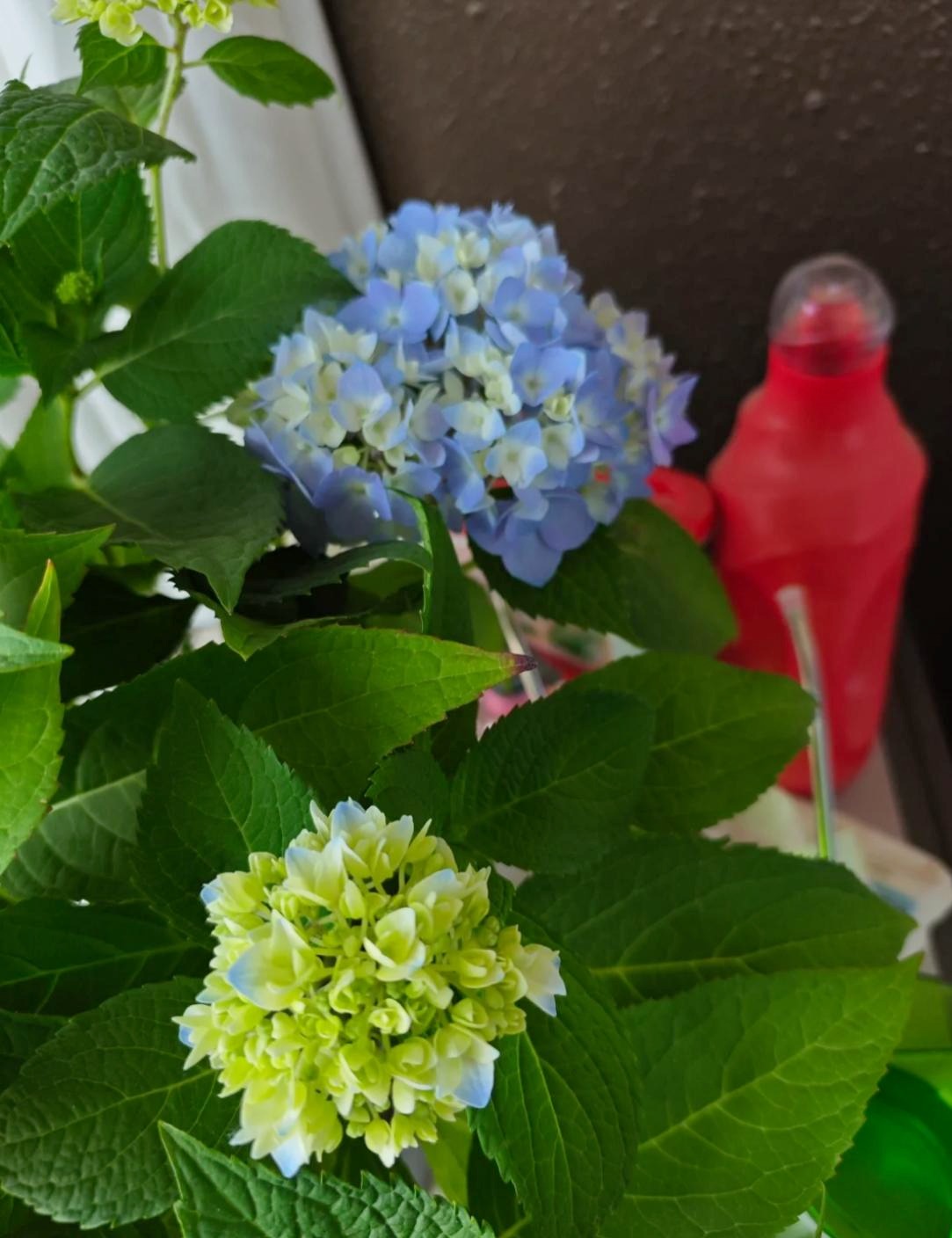 Lần đầu tiên sau 40 năm cuộc đời phát hiện: 9 sự Lần đầu tiên sau 40 năm cuộc đời phát hiện: 9 sự