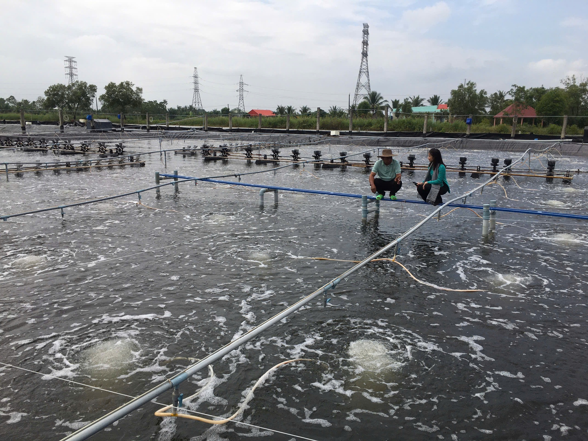 Lão nông ở Cà Mau nuôi loài ‘kho báu dưới nước’ size khủng, 4 tháng lãi gần 2 tỷ: Lập luôn kỷ lục- Ảnh 2. Lão nông ở Cà Mau nuôi loài ‘kho báu dưới nước’ size khủng, 4 tháng lãi gần 2 tỷ: Lập luôn kỷ lục- Ảnh 2.