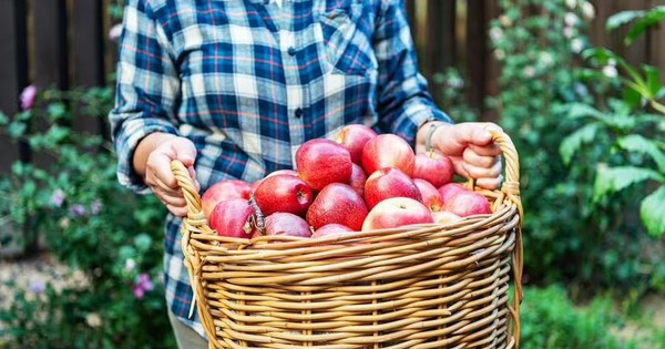 T&aacute;o sẽ tươi l&acirc;u bất ngờ nếu được bảo quản ở vị tr&iacute; n&agrave;y trong bếp - 6 th&aacute;ng vẫn ăn ngon!