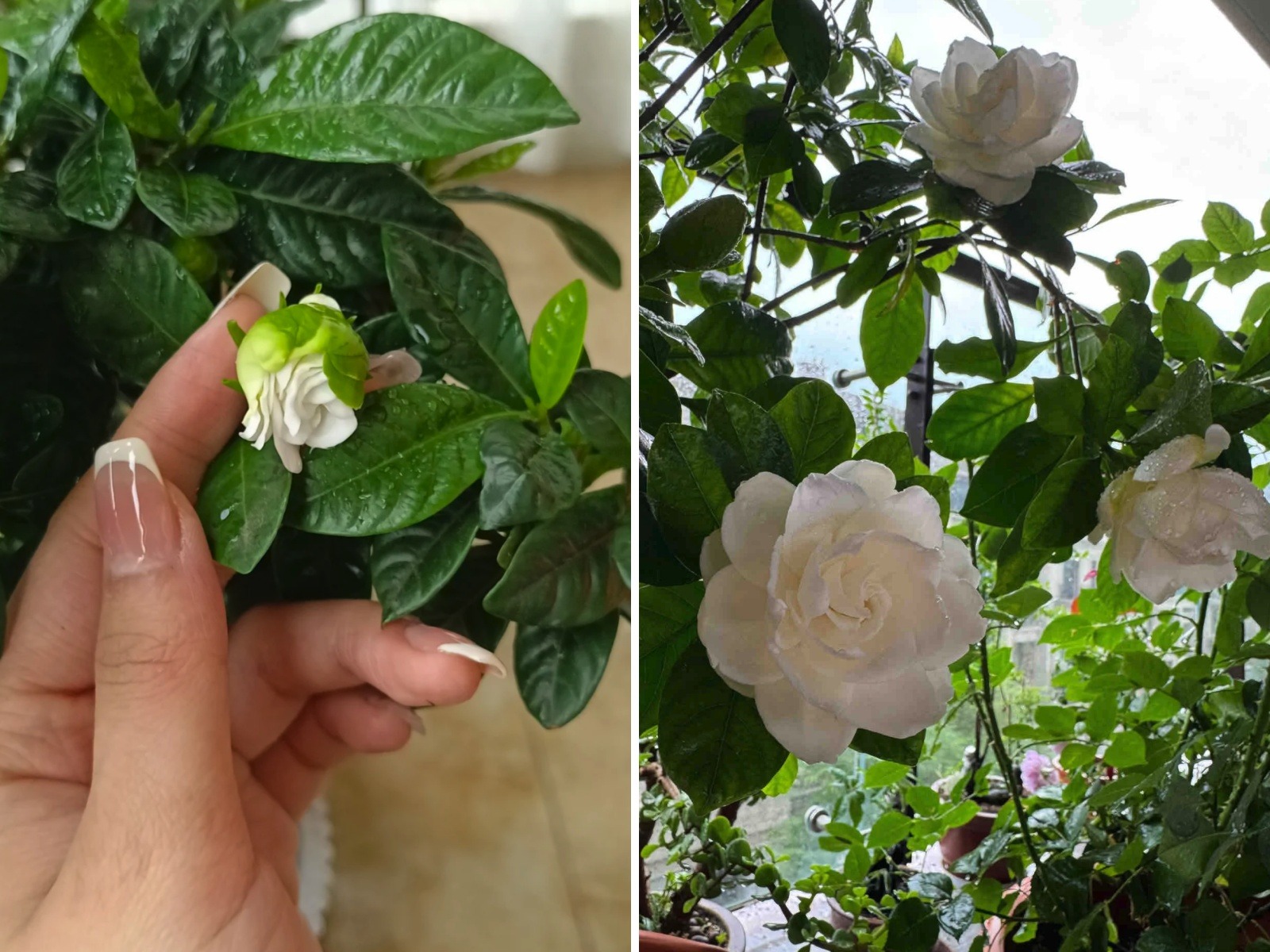 Lần đầu tiên sau 40 năm cuộc đời phát hiện: 9 sự Lần đầu tiên sau 40 năm cuộc đời phát hiện: 9 sự