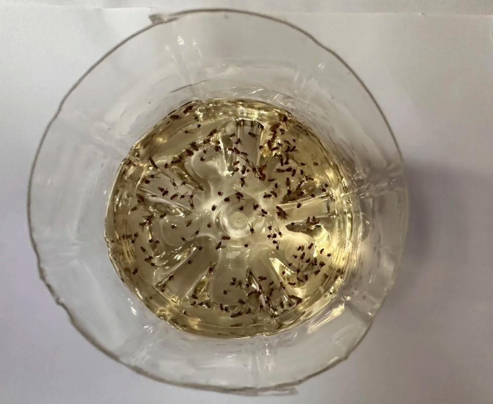 Lần đầu tiên sau 40 năm cuộc đời phát hiện: 9 sự Lần đầu tiên sau 40 năm cuộc đời phát hiện: 9 sự