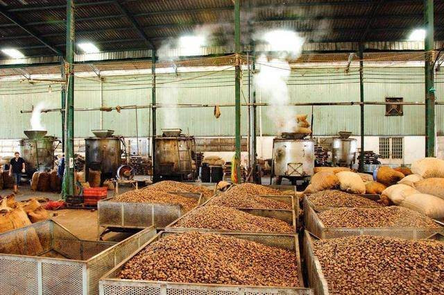 'Sản vật trời ban' giúp Việt Nam xuất khẩu bỏ xa thế giới: Được người Trung Quốc thừa nhận 'ăn đứt' hàng nội, thu về hàng tỷ USD từ đầu năm- Ảnh 1. 'Sản vật trời ban' giúp Việt Nam xuất khẩu bỏ xa thế giới: Được người Trung Quốc thừa nhận 'ăn đứt' hàng nội, thu về hàng tỷ USD từ đầu năm- Ảnh 1.