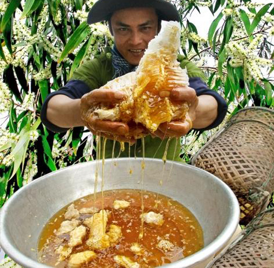 Đặc sản đắt nhất thế giới 40 triệu/kg, Việt Nam có loại thiên nhiên nguyên bản, thơm ngọt chẳng kém cạnh- Ảnh 6.