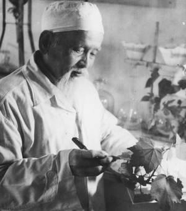 Sự thật về ông chủ Cao Sao Vàng - Sự thật về ông chủ Cao Sao Vàng -