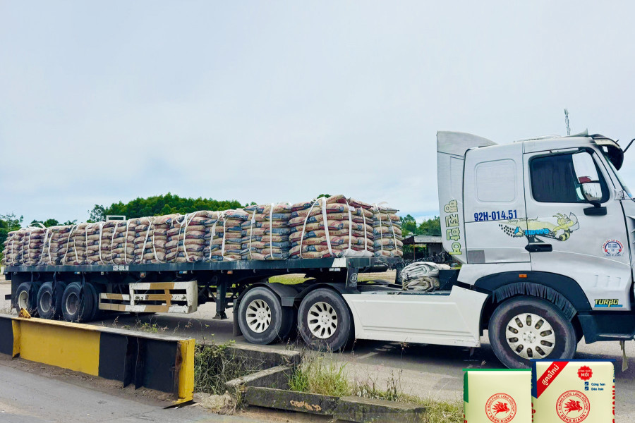 Xi măng S&ocirc;ng Gianh h&agrave;nh tr&igrave;nh xanh giữa miền đất đ&aacute;- Ảnh 14.