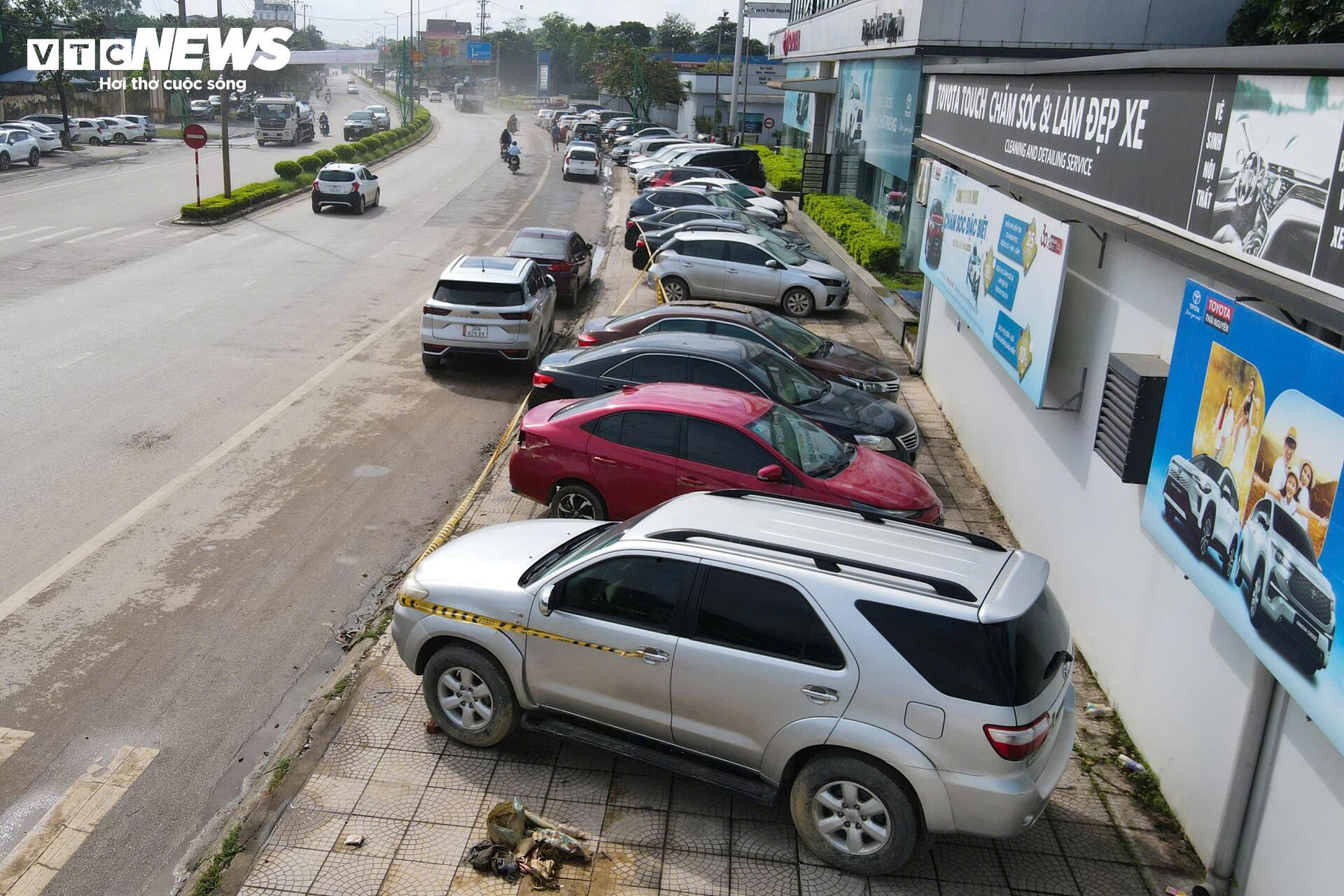 Cuộc 'đại phẫu' hồi sinh h&agrave;ng trăm &ocirc; t&ocirc; chết l&acirc;m s&agrave;ng sau lũ- Ảnh 1.