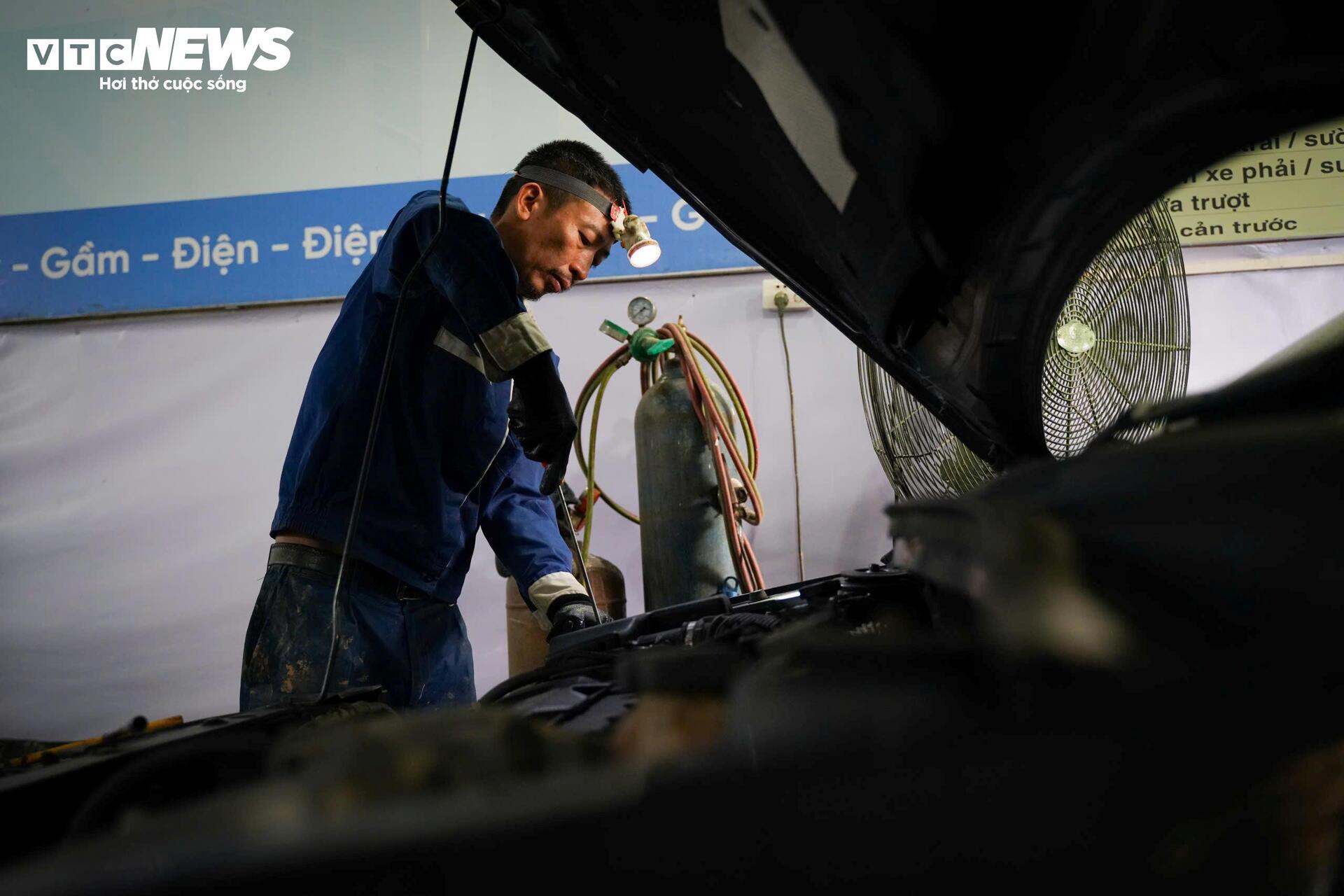 Cuộc 'đại phẫu' hồi sinh h&agrave;ng trăm &ocirc; t&ocirc; chết l&acirc;m s&agrave;ng sau lũ- Ảnh 9.