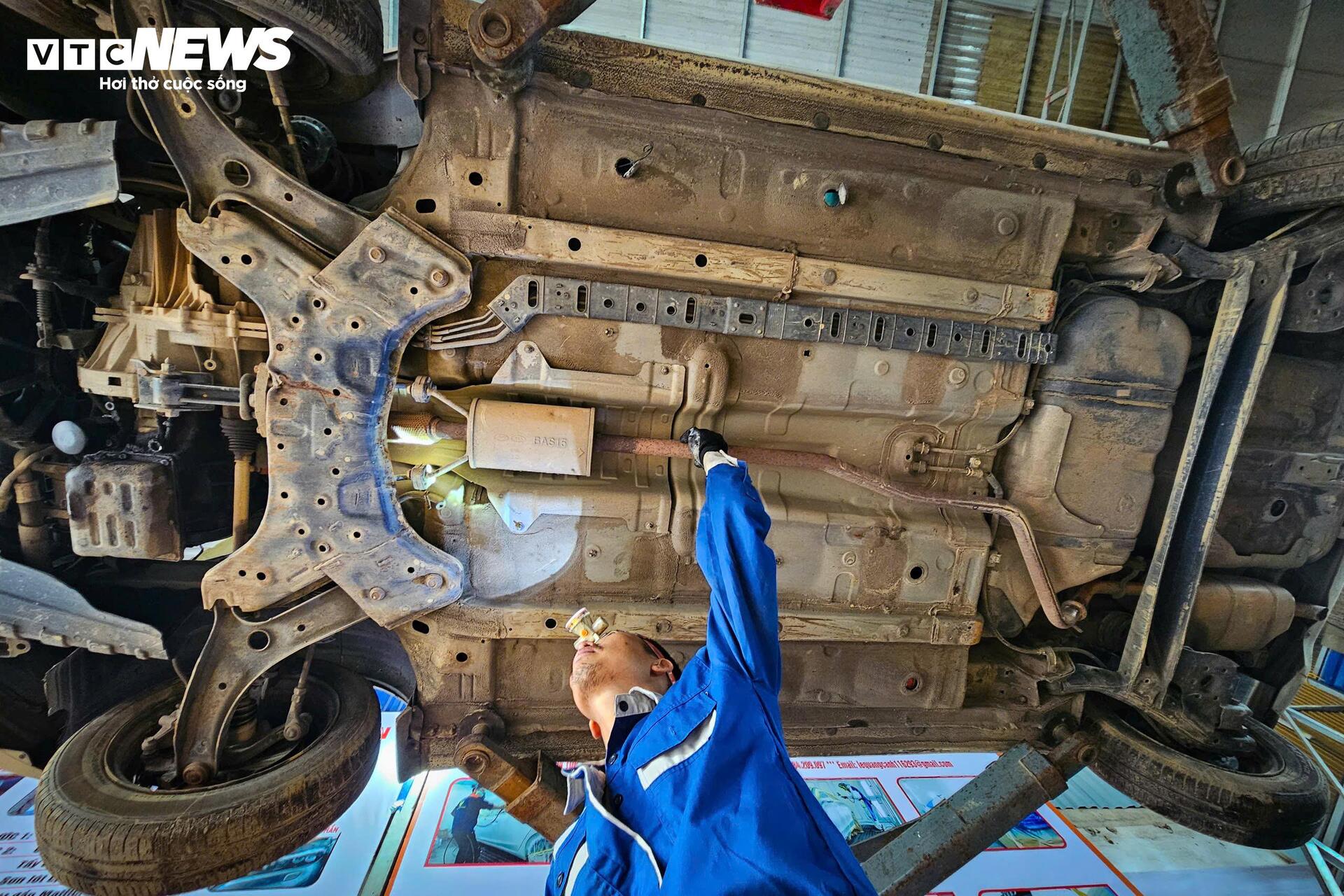 Cuộc 'đại phẫu' hồi sinh h&agrave;ng trăm &ocirc; t&ocirc; chết l&acirc;m s&agrave;ng sau lũ- Ảnh 10.