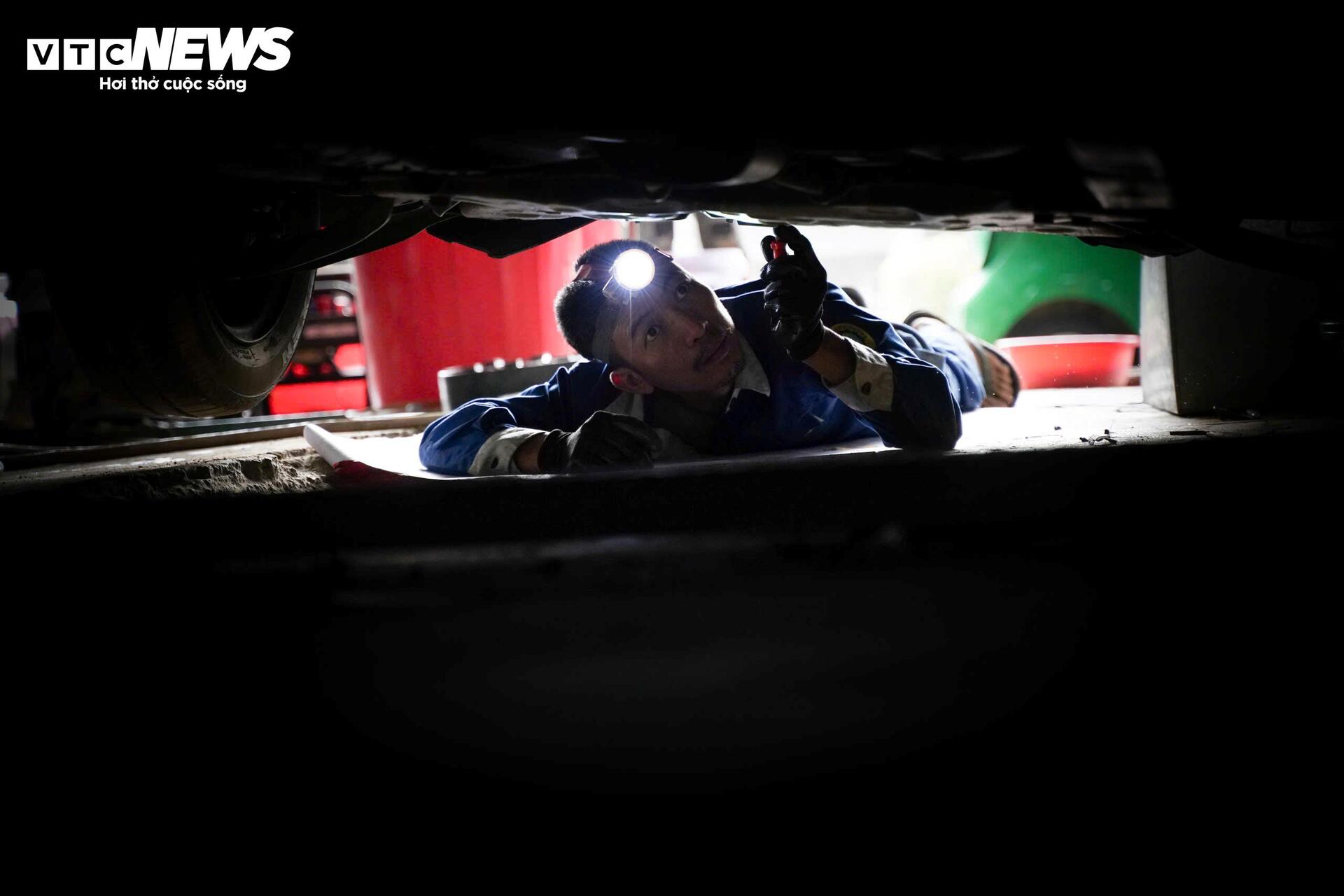 Cuộc 'đại phẫu' hồi sinh h&agrave;ng trăm &ocirc; t&ocirc; chết l&acirc;m s&agrave;ng sau lũ- Ảnh 11.