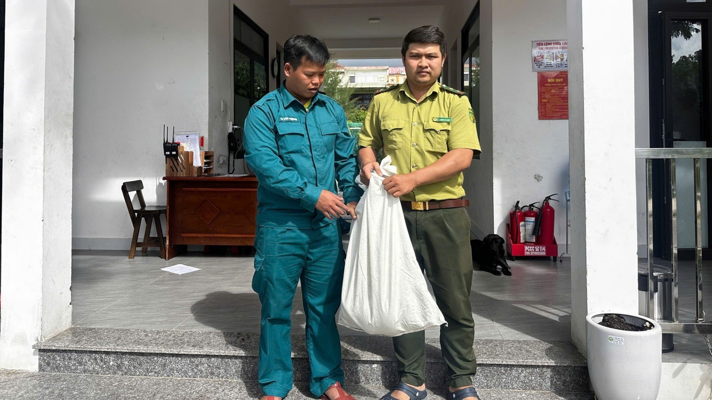Trăn 'khủng' bất ngờ xuất hiện trong khu dân cư ở Đà Nẵng- Ảnh 2. Trăn 'khủng' bất ngờ xuất hiện trong khu dân cư ở Đà Nẵng- Ảnh 2.