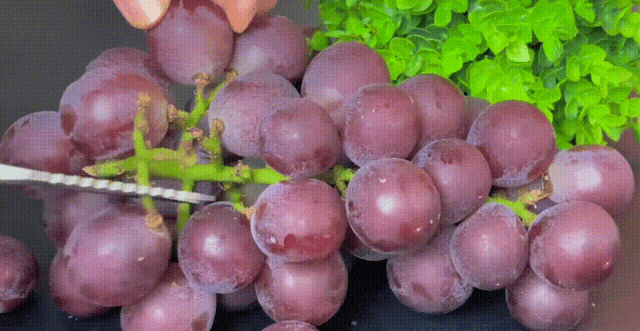 D&ugrave;ng muối v&agrave; baking soda rửa nho l&agrave; sai, đ&acirc;y mới l&agrave; c&aacute;ch đ&uacute;ng khiến trứng c&ocirc;n tr&ugrave;ng cũng phải tự động 