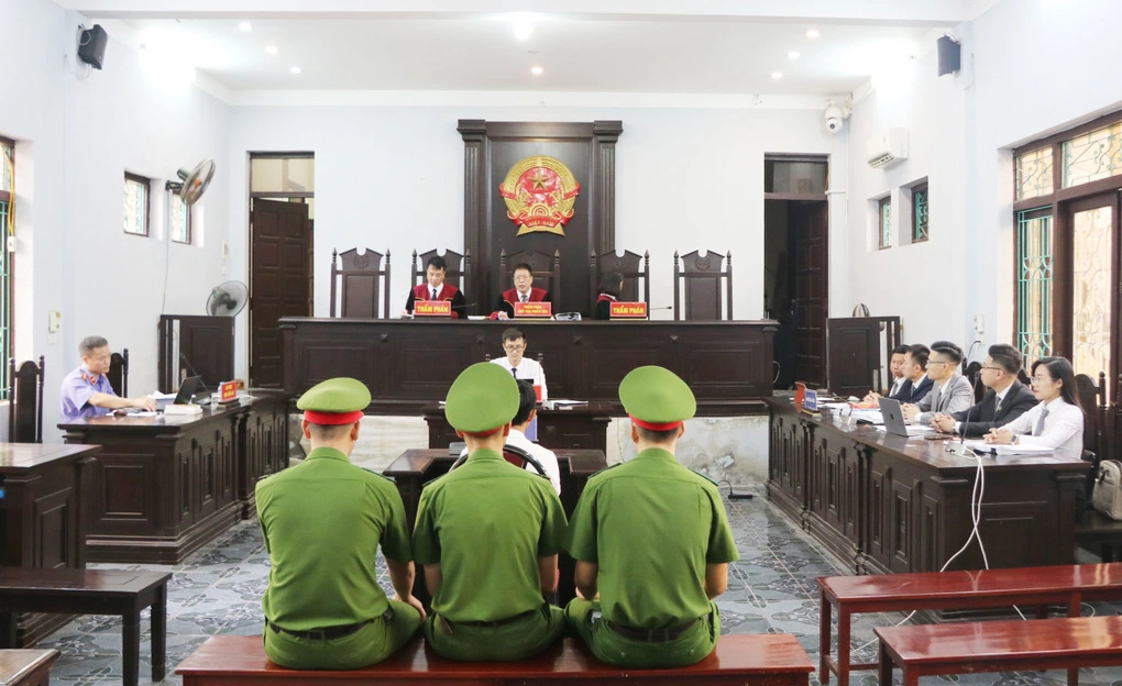 Vụ án gà lôi trắng: Bị cáo Thái Khắc Thành được thả tự do ngay tại toà- Ảnh 1. Vụ án gà lôi trắng: Bị cáo Thái Khắc Thành được thả tự do ngay tại toà- Ảnh 1.