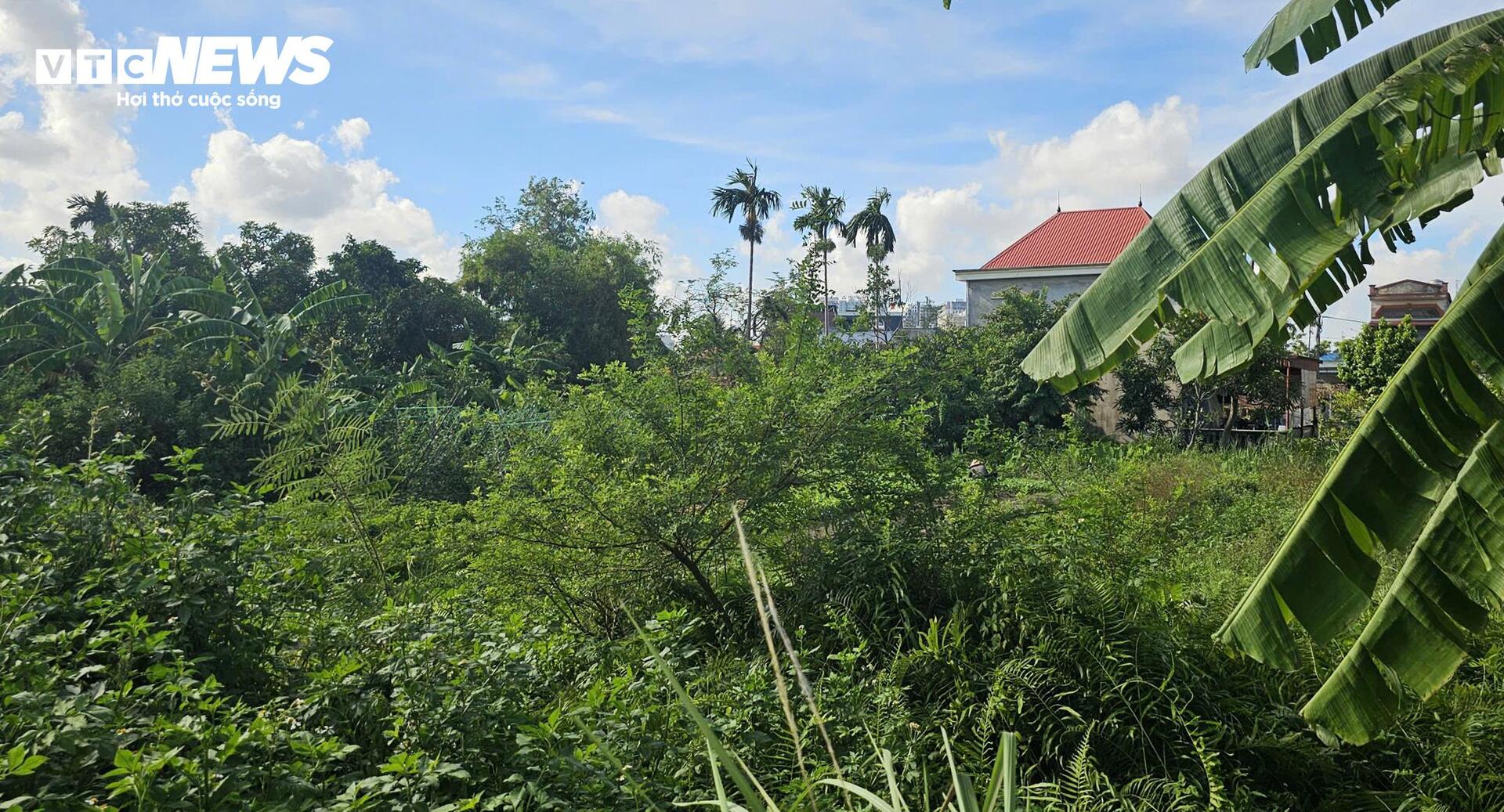 Lạ lùng khu dân cư 'nhà không số, phố không tên' giữa đô thị Hải Phòng- Ảnh 1.