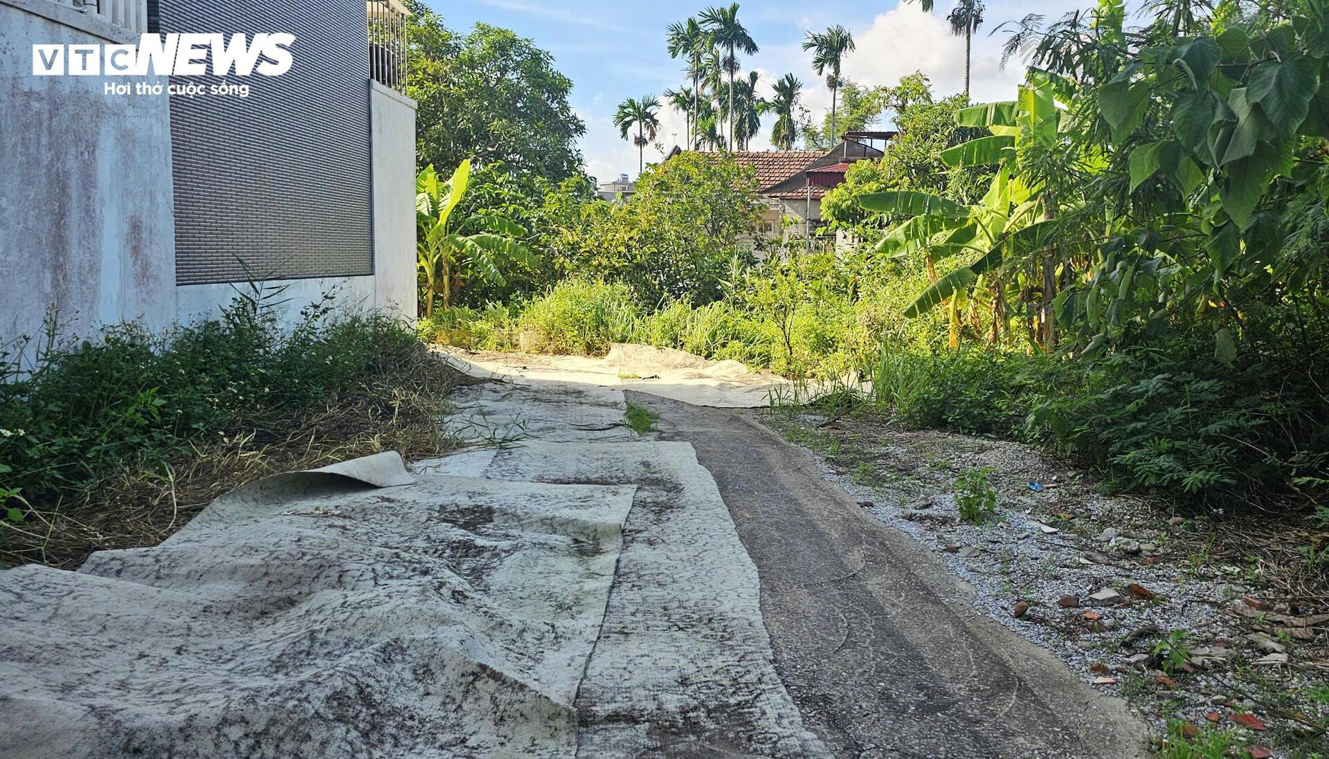 Lạ lùng khu dân cư 'nhà không số, phố không tên' giữa đô thị Hải Phòng- Ảnh 10.